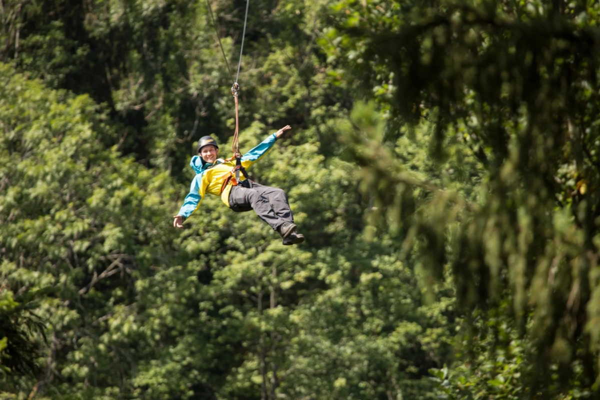 Zip line in Germany rider soaring above lush forest canopy.