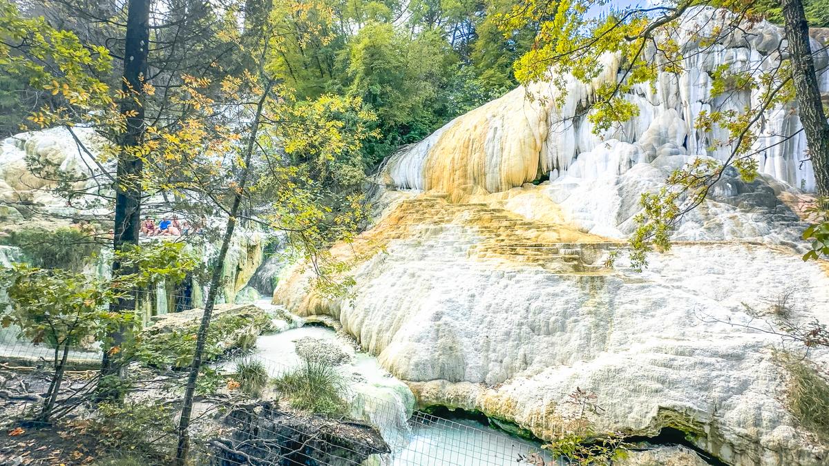 Visitors enjoying Fosso Bianco Hot Springs amidst Bagni San Filippo's verdant woods