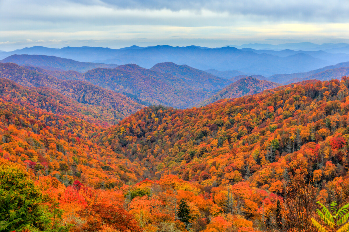 Aerial view of Great Smoky Mountains National Park