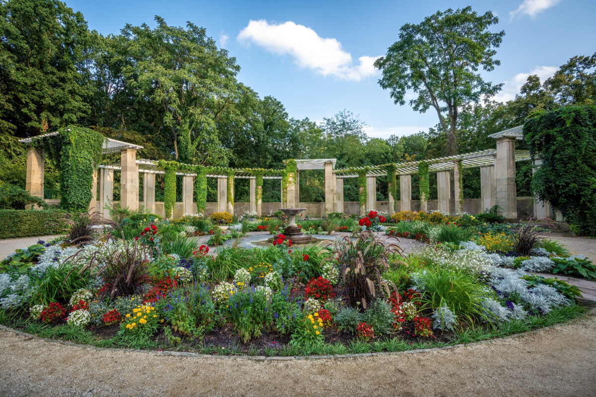 Rose Garden in Berlin's Großer Tiergarten
