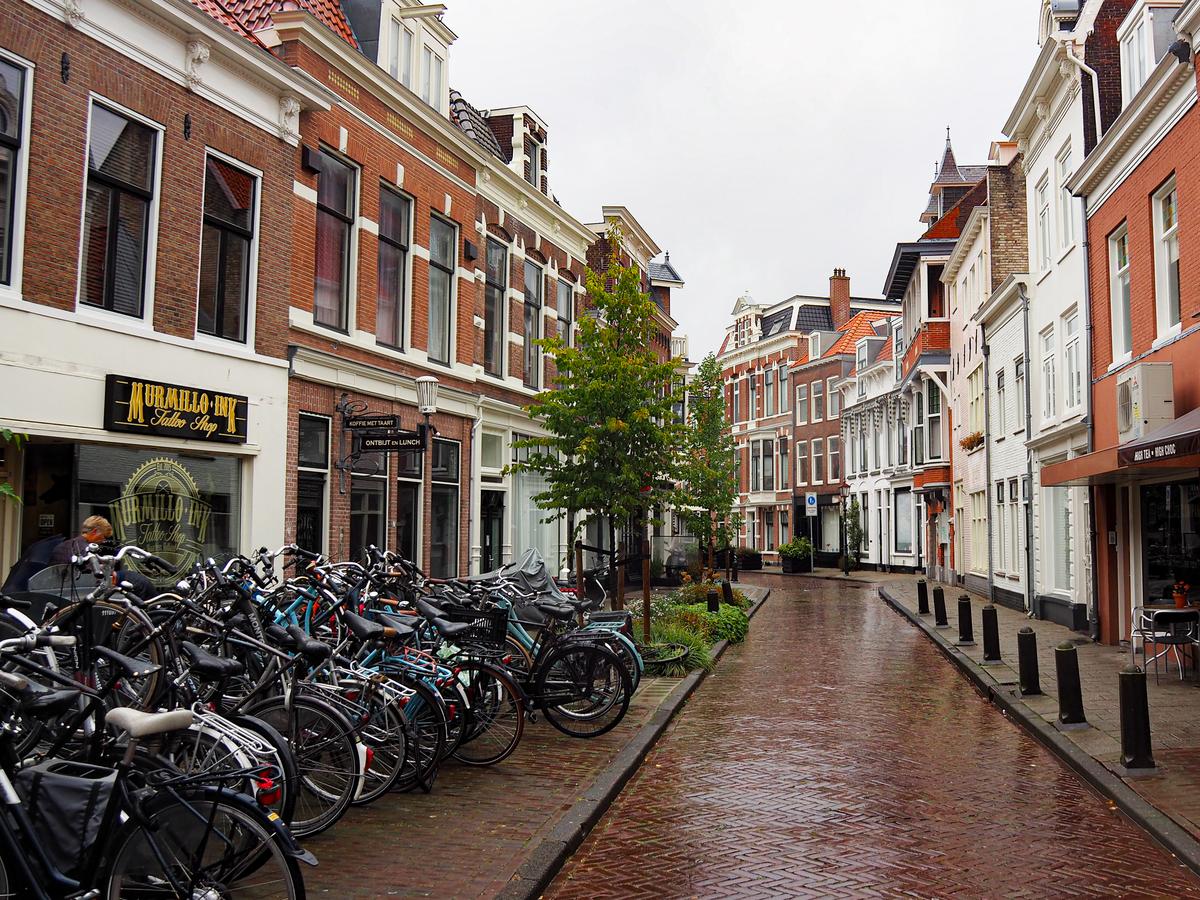 Charming cobblestone street with bikes under overcast skies in Haarlem, Netherlands