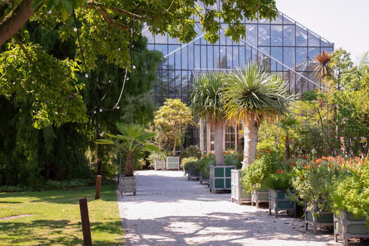 Greenhouse of the Hortus botanicus in Leiden.
