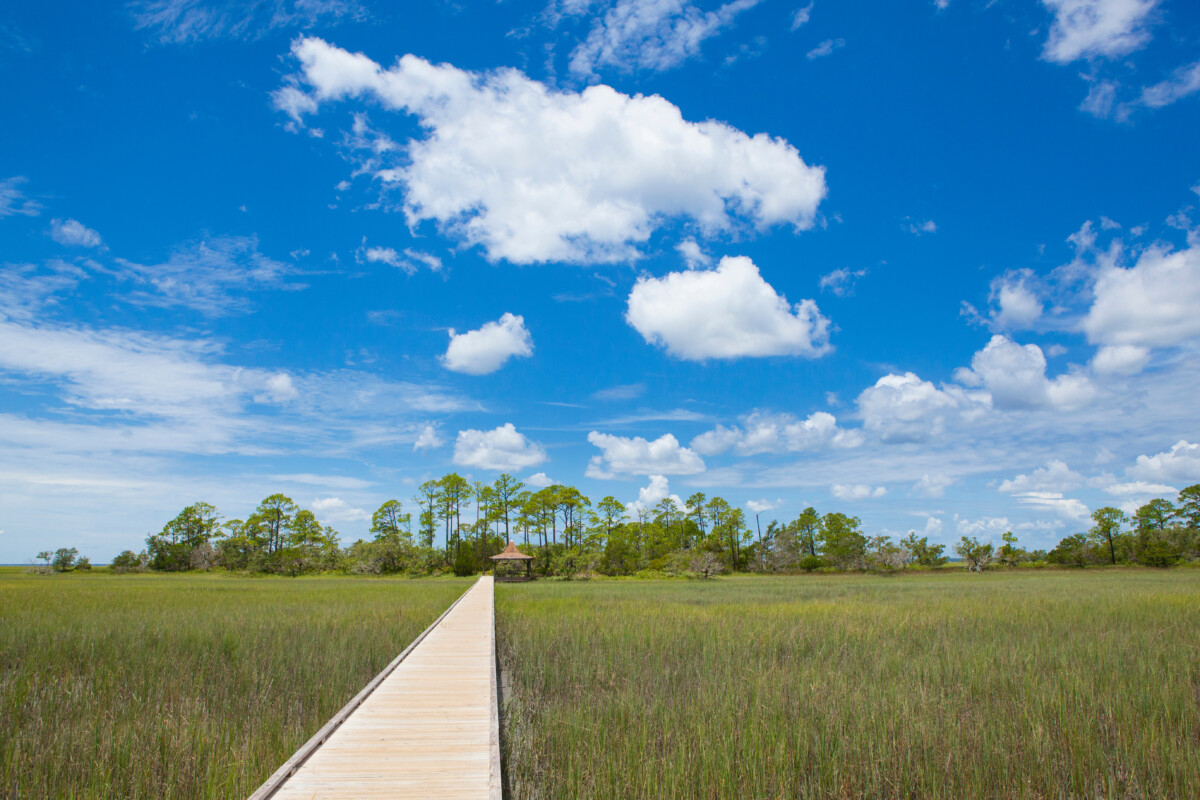 Nature trail through coastal salt marsh in Hunting Island State Park, South Carolina.