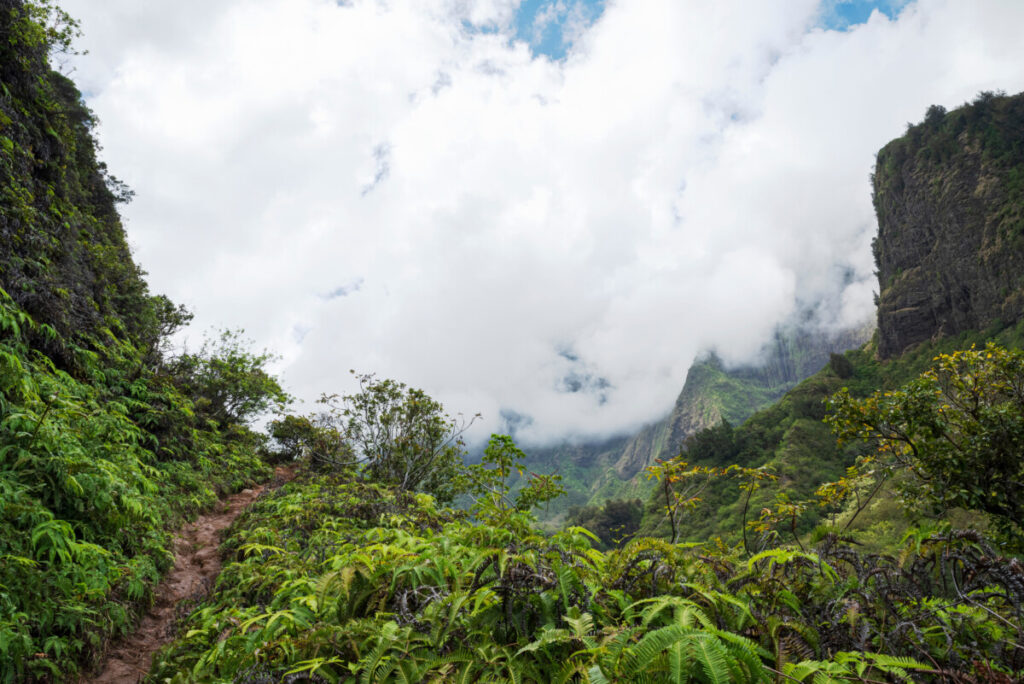 Trail and cliff of Haleakala National Park in Hawaii