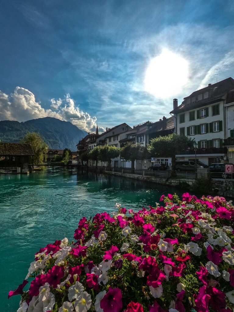 Scenic view of Interlaken, Switzerland with alpine flowers and river
