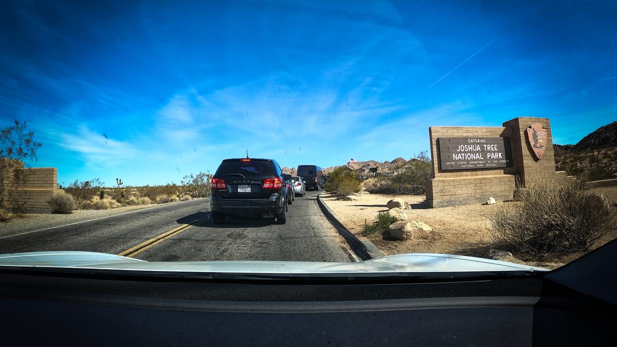 Cars queue at Joshua Tree National Park entrance