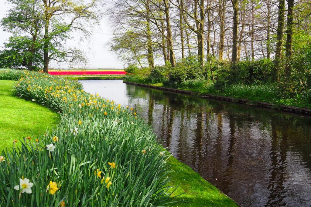 Keukenhof canal cruise with views of lush flower gardens and vibrant spring blooms