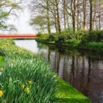 Keukenhof canal cruise with views of lush flower gardens and vibrant spring blooms
