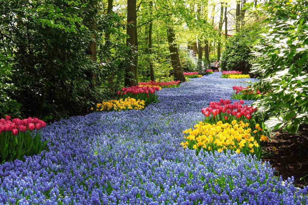 A vibrant display of tulips, daffodils, and hyacinths at Keukenhof Gardens in the Netherlands.