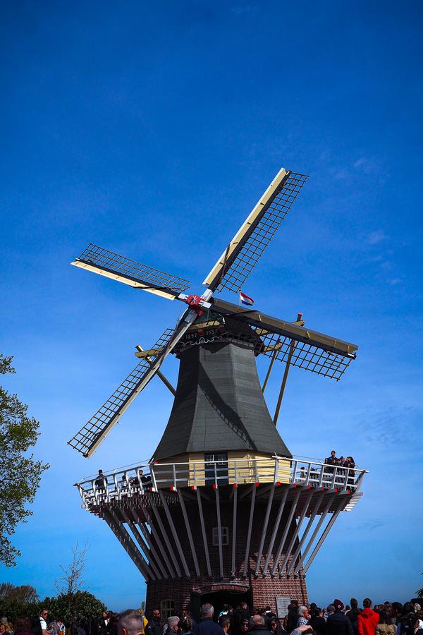 Iconic Keukenhof windmill surrounded by visitors, tulips in bloom, Lisse, Netherlands