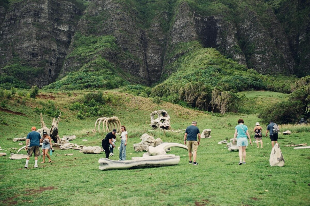 Tourists visiting the Kualoa Ranch