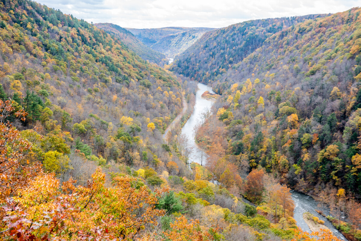 Aerial view of Leonard Harrison State Park in Pennsylvania