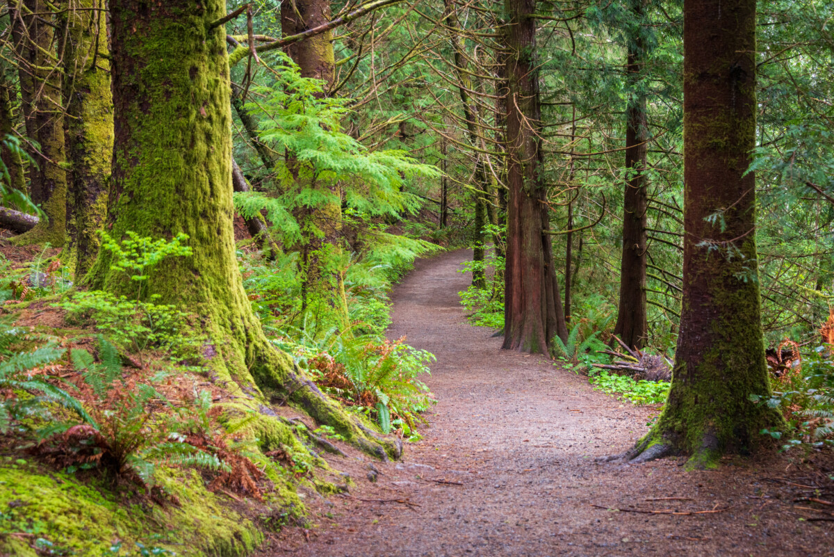Fort to Sea Trail at Lewis and Clark National and State Historical Parks