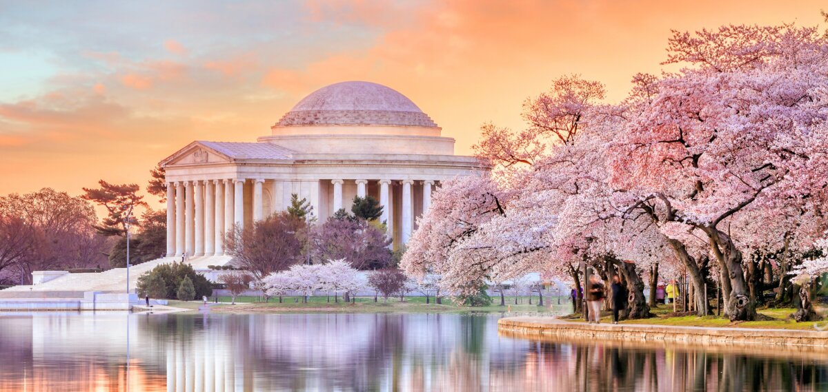 Lincoln Memorial and cherry blossoms