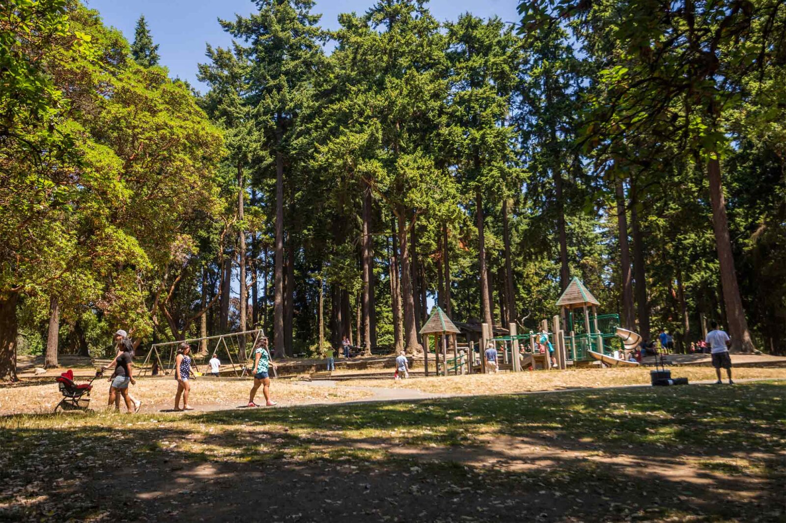 Playground in Lincoln Park in Seattle