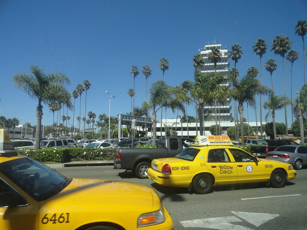 Yellow Taxis in Los Angeles