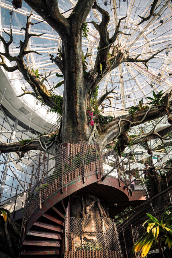 Lush vertical rainforest at The Green Planet in Dubai, showcasing intricate artificial tree and biodome structure.