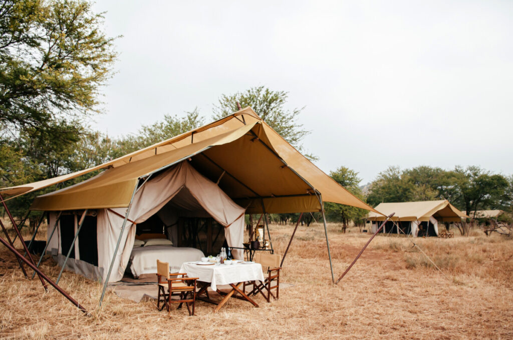 Look of a luxury Safari tent in Serengeti Savanna Forest