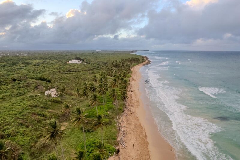 Aerial view of Macao Beach in Punta Cana with turquoise waters and sandy coastline, Dominican Republic