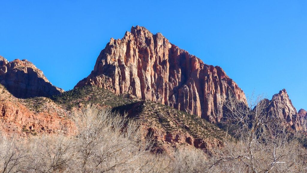 Alt text: Winter day at Zion National Park with blue sky, red sandstone cliffs, and leafless trees.