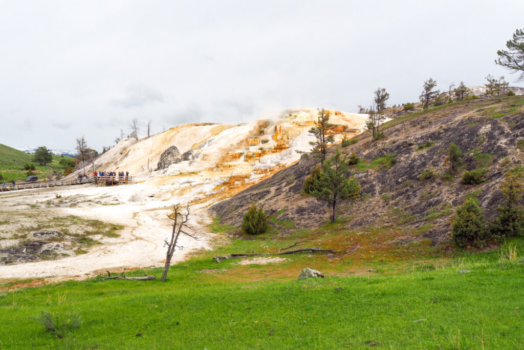 Mammoth Hot Springs in Yellowstone National Park