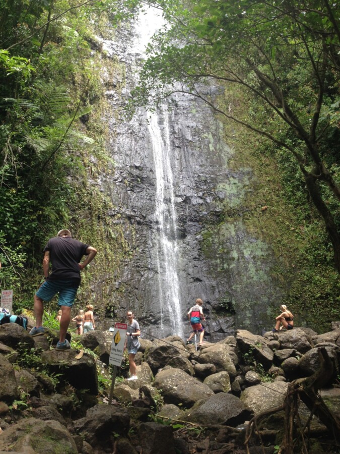 Travelers hiking to Manoa Falls Trail