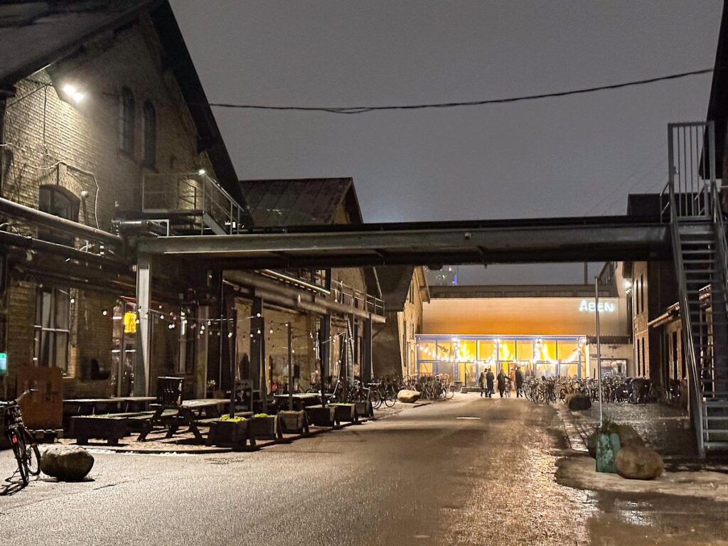 Restaurants and pedestrians in Copenhagen's Meatpacking District at night