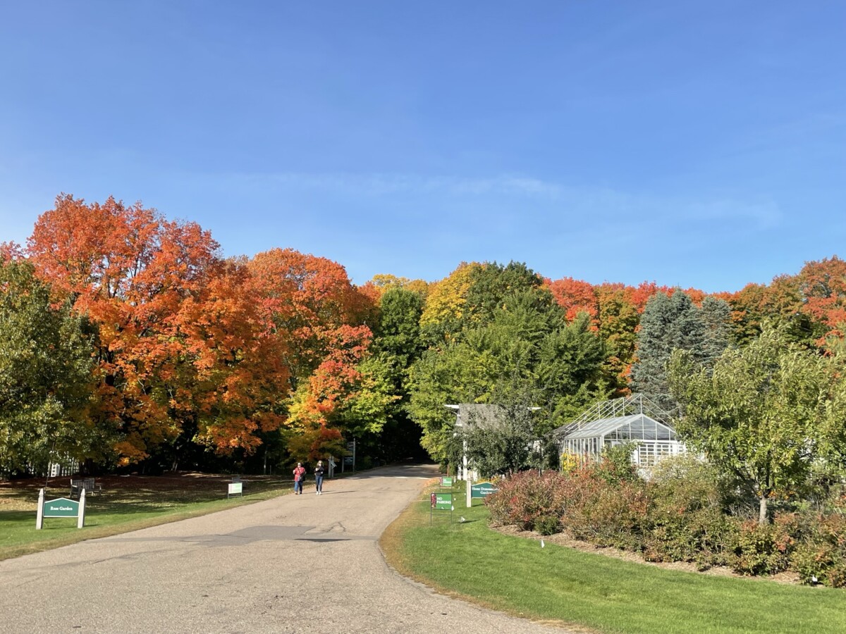 Gardens and summer foliage at the Minnesota Landscape Arboretum in Chaska