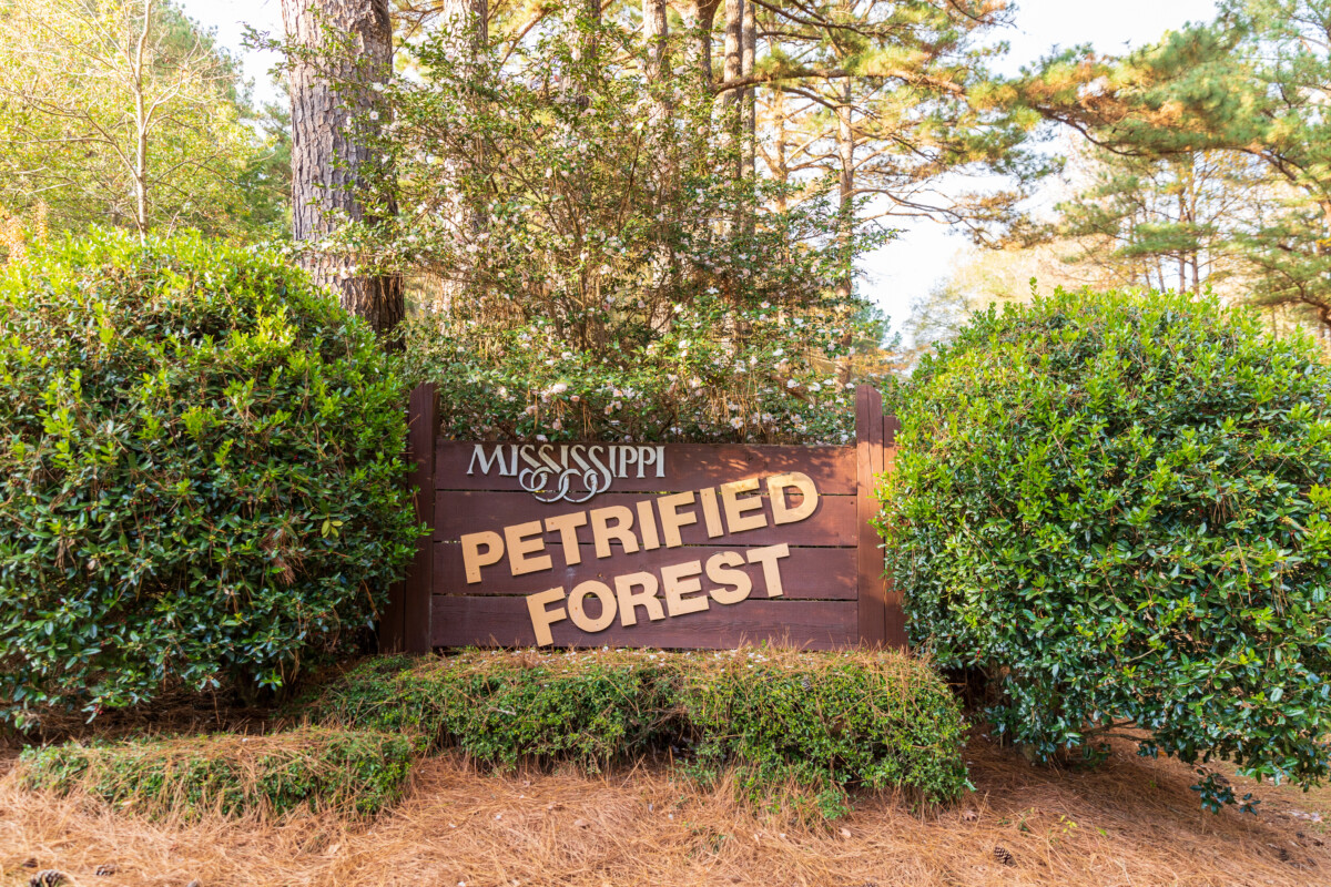 Mississippi Petrified Forest sign and entrance sign near Flora, Mississippi