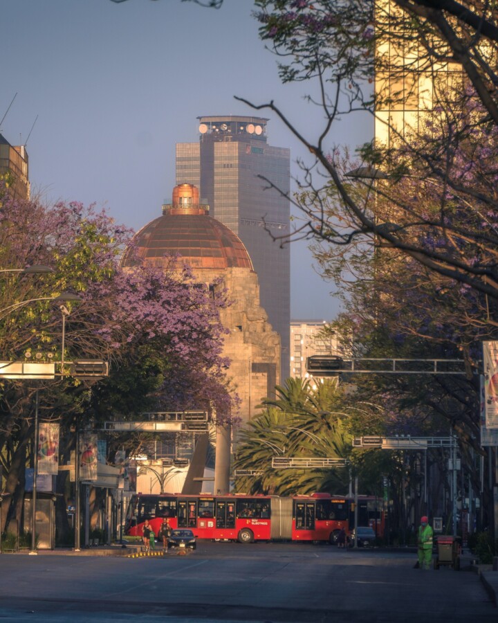 Buses closed to Monument To The Revolution
