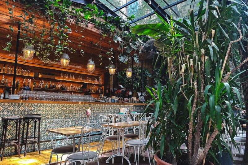 Interior of a Budapest Israeli restaurant with botanical theme, wooden bar, patterned tiles, and abundant plants.