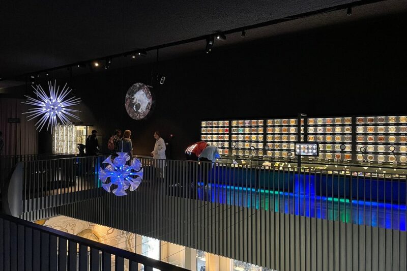 Multilevel ARTIS-Micropia, Amsterdam, Netherlands interior with mezzanine, sculptural lighting, glass display cases, and visitors.