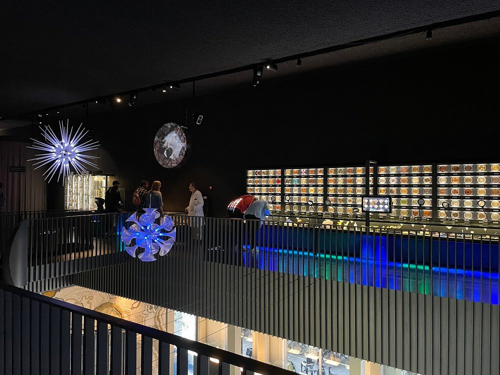 Multilevel ARTIS-Micropia, Amsterdam, Netherlands interior with mezzanine, sculptural lighting, glass display cases, and visitors.