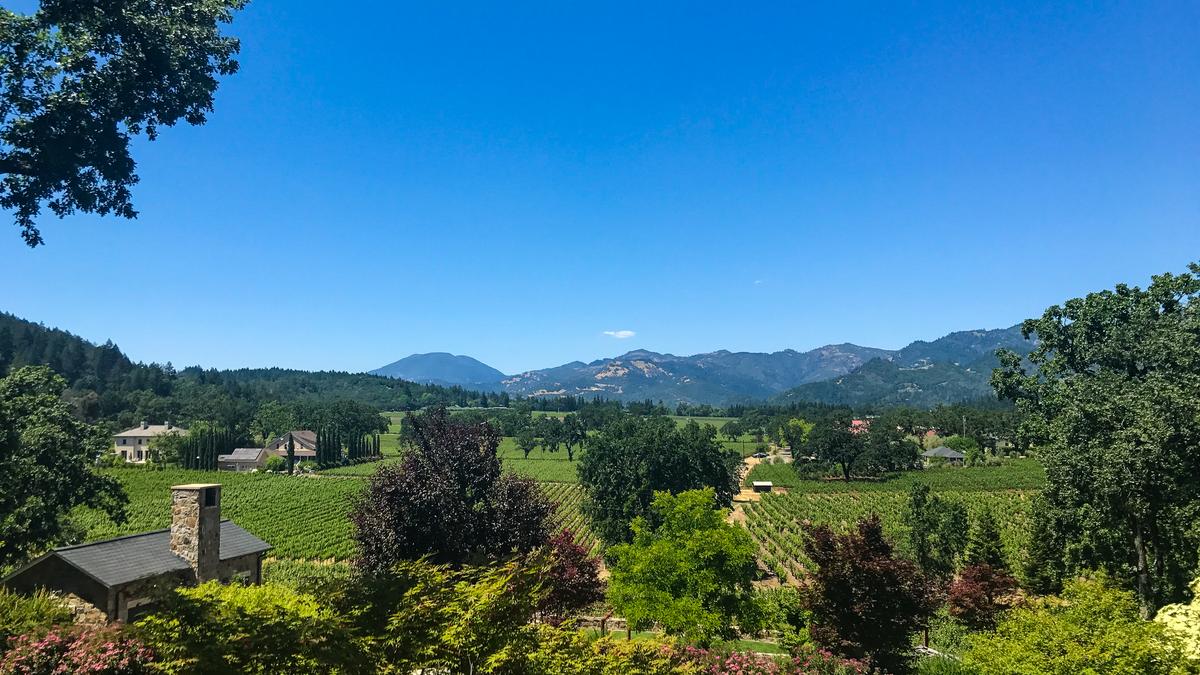 Panoramic Napa Valley vineyards with rolling hills and blue skies