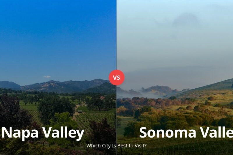 Napa Valley vs Sonoma Valley: Which Wine Region is Better to Visit in 2025? comparison - ViaTravelers Travel Guide