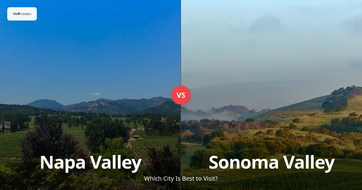 Napa Valley vs Sonoma Valley: Which Wine Region is Better to Visit in 2025? comparison - ViaTravelers Travel Guide