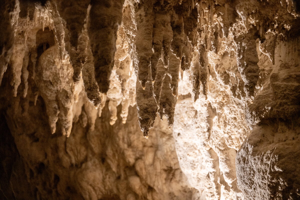 Stalactites inside a Waitomo cave in New Zealand