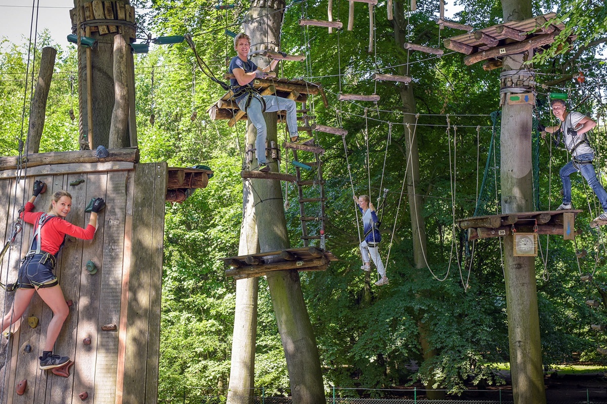 Zip lines in Germany ropes course adventure park in forest.