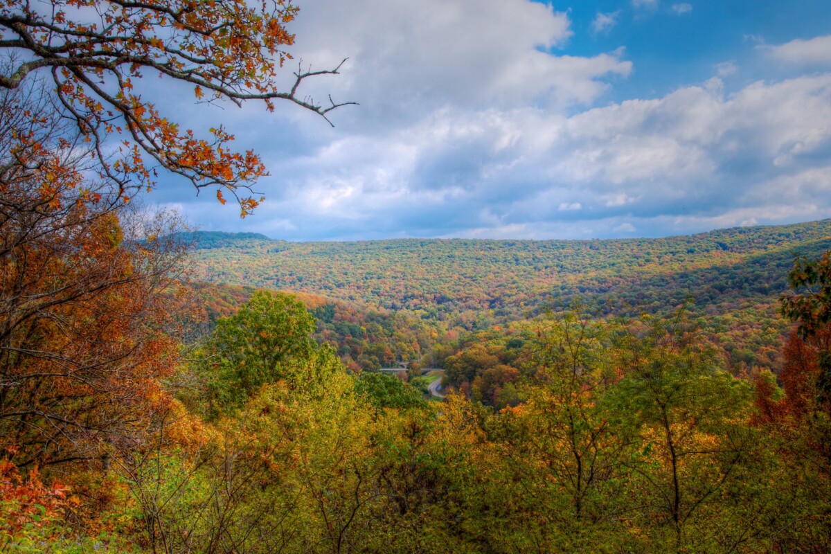 Ozark-St. Francis National Forest in Arkansas