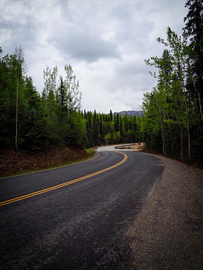 Best Things to Do in Denali National Park