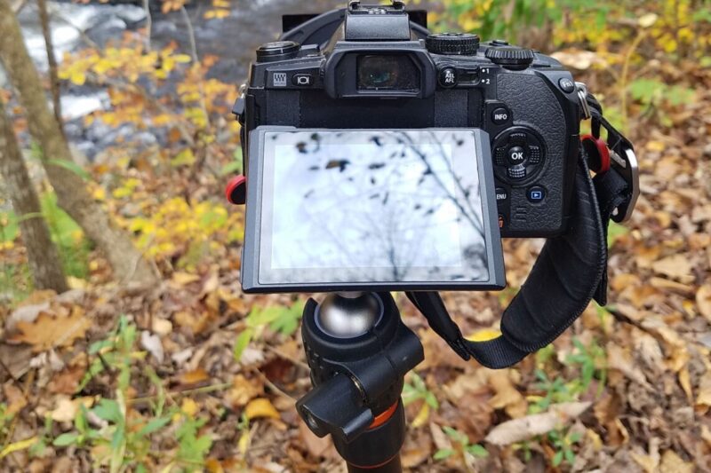 Peak Design clutch on Olympus OM-D EM-1