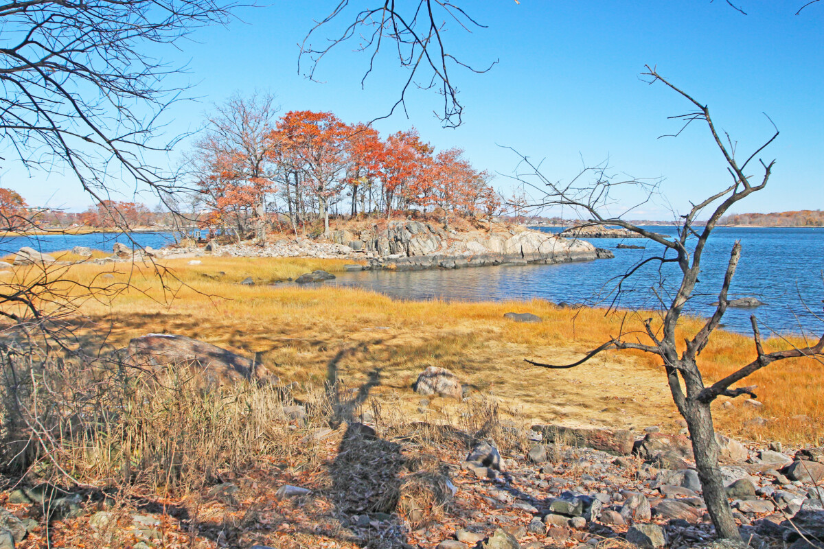 Lake and foliage at Pelham Bay Park in New York City
