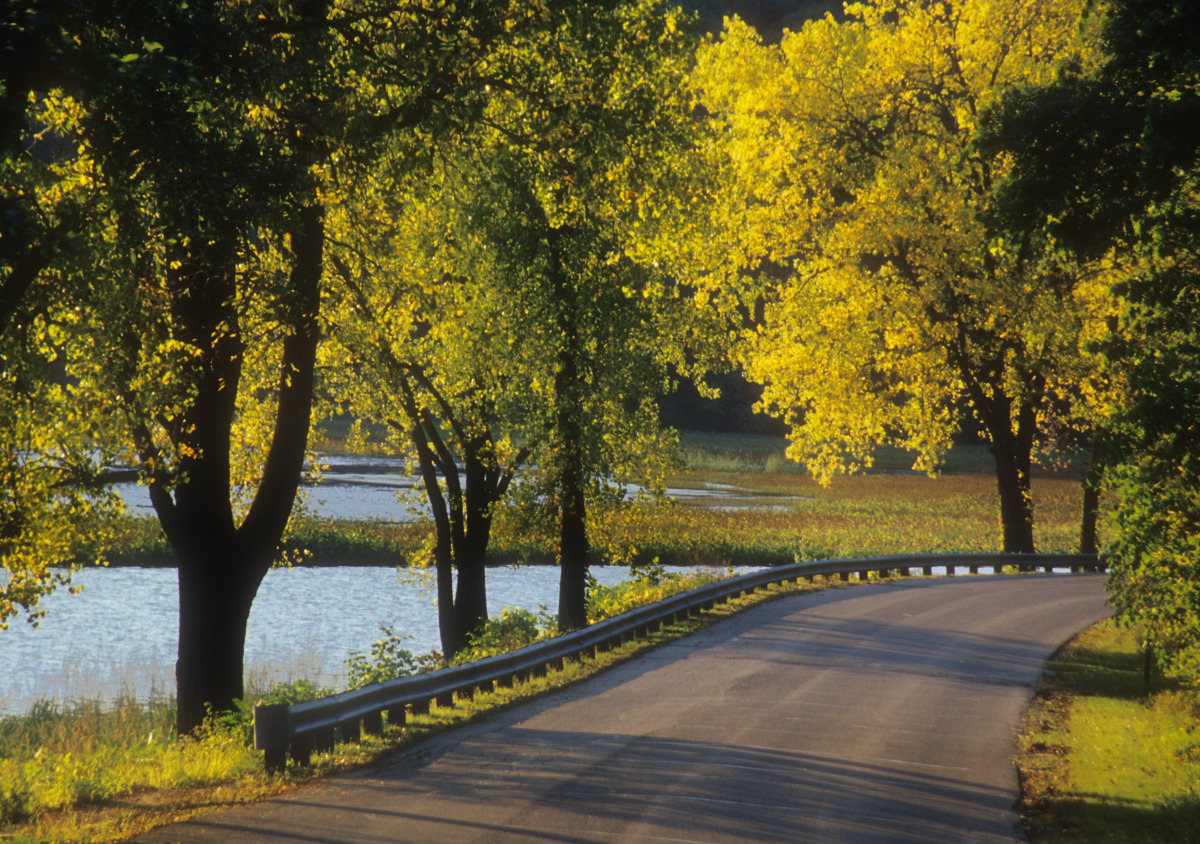 Trail and road at Perrot State Park