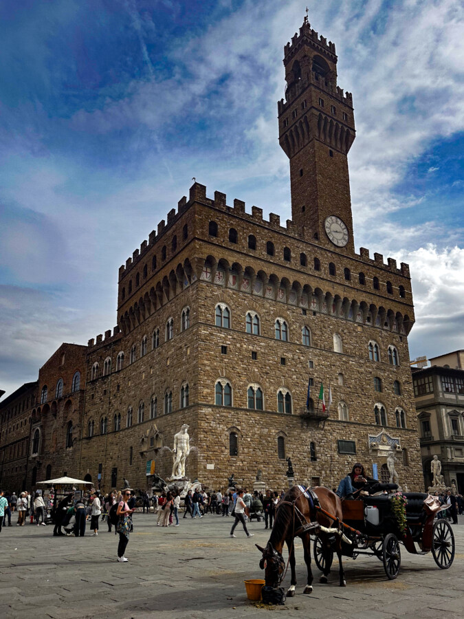Horse Carriage at Piazza Della Signoria, Florence