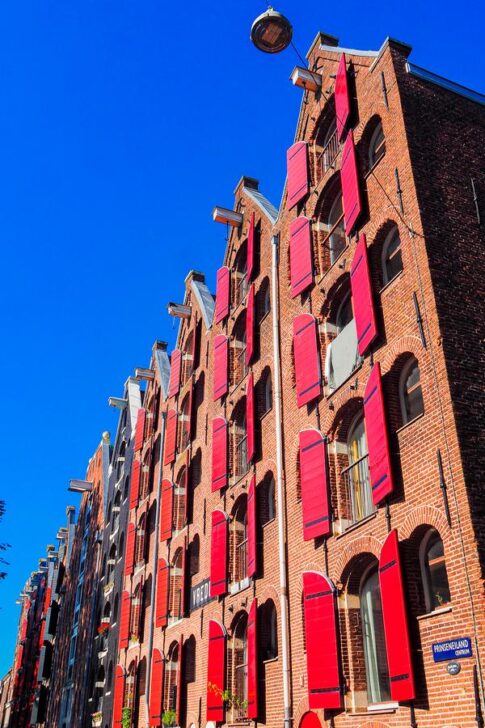 Historic red-shuttered houses on Prinseneiland in Amsterdam under a clear blue sky