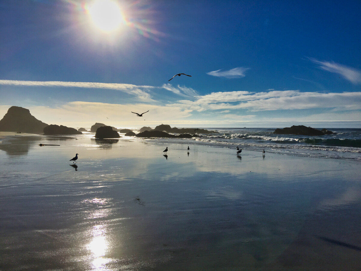 Pudding creek beach in Fort Bragg California