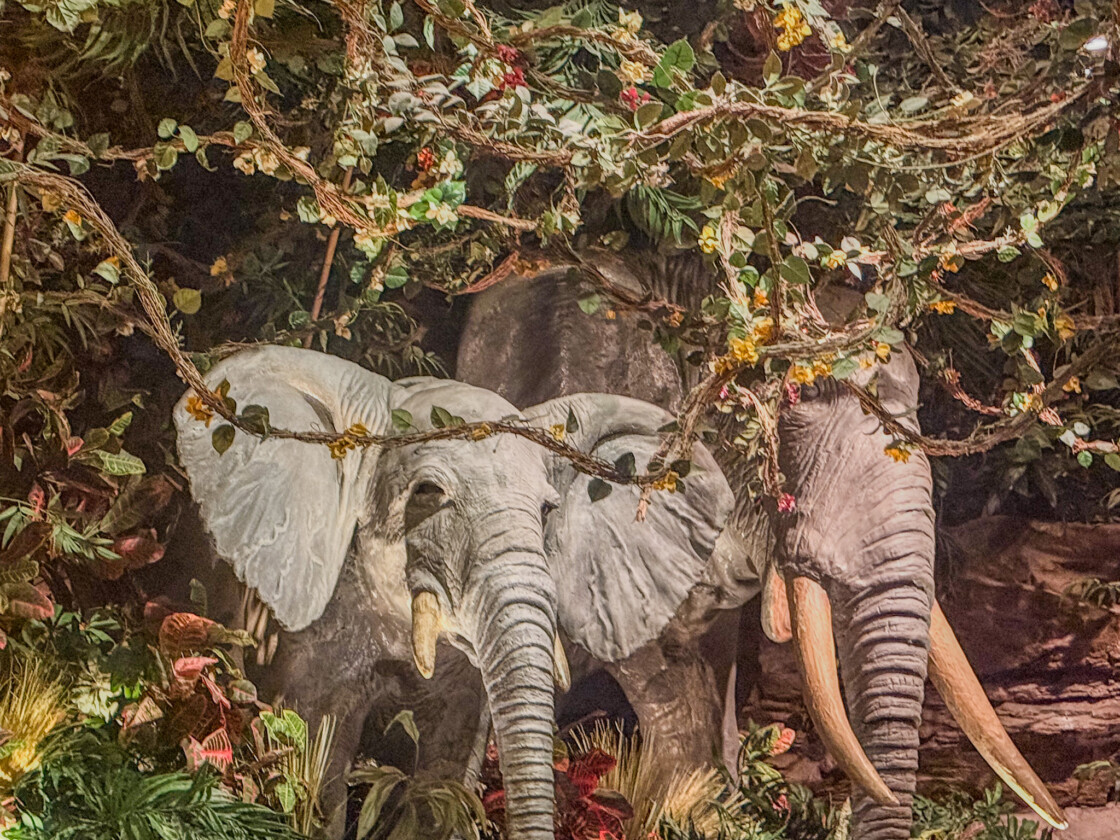 Rainforest Cafe elephant display at Mall of America in Bloomington, Minnesota.