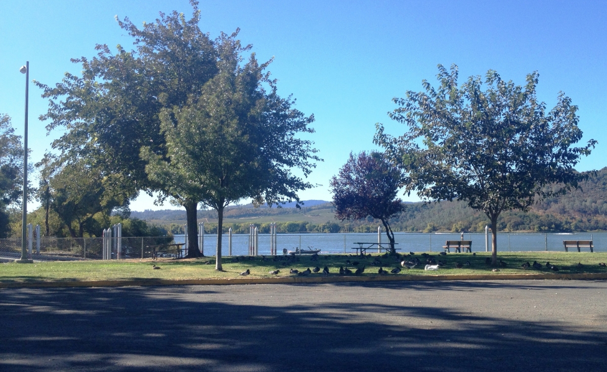Open Space in Redbud Park, Clearlake, California
