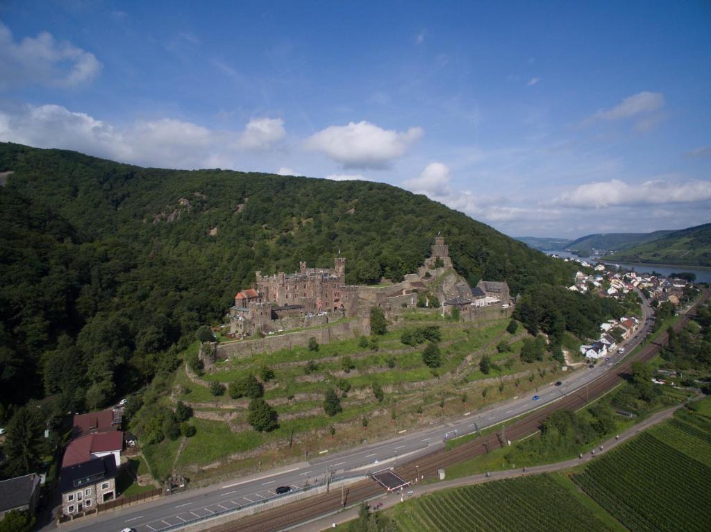 Aerial View of Burg Reichenstein