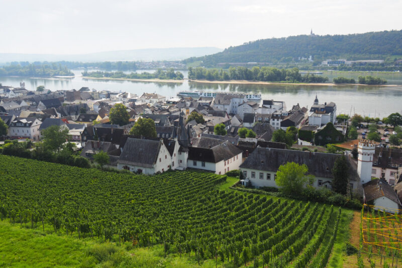German Wine: History & Different Types